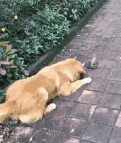 姣忔棩绗戞姤鐖嗙瑧璇綍,姣忔棩绗戞姤2014