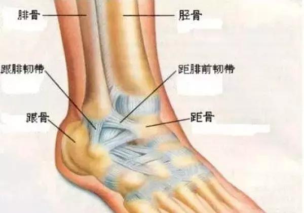 一招解决脚扭伤,如何治脚扭伤呢