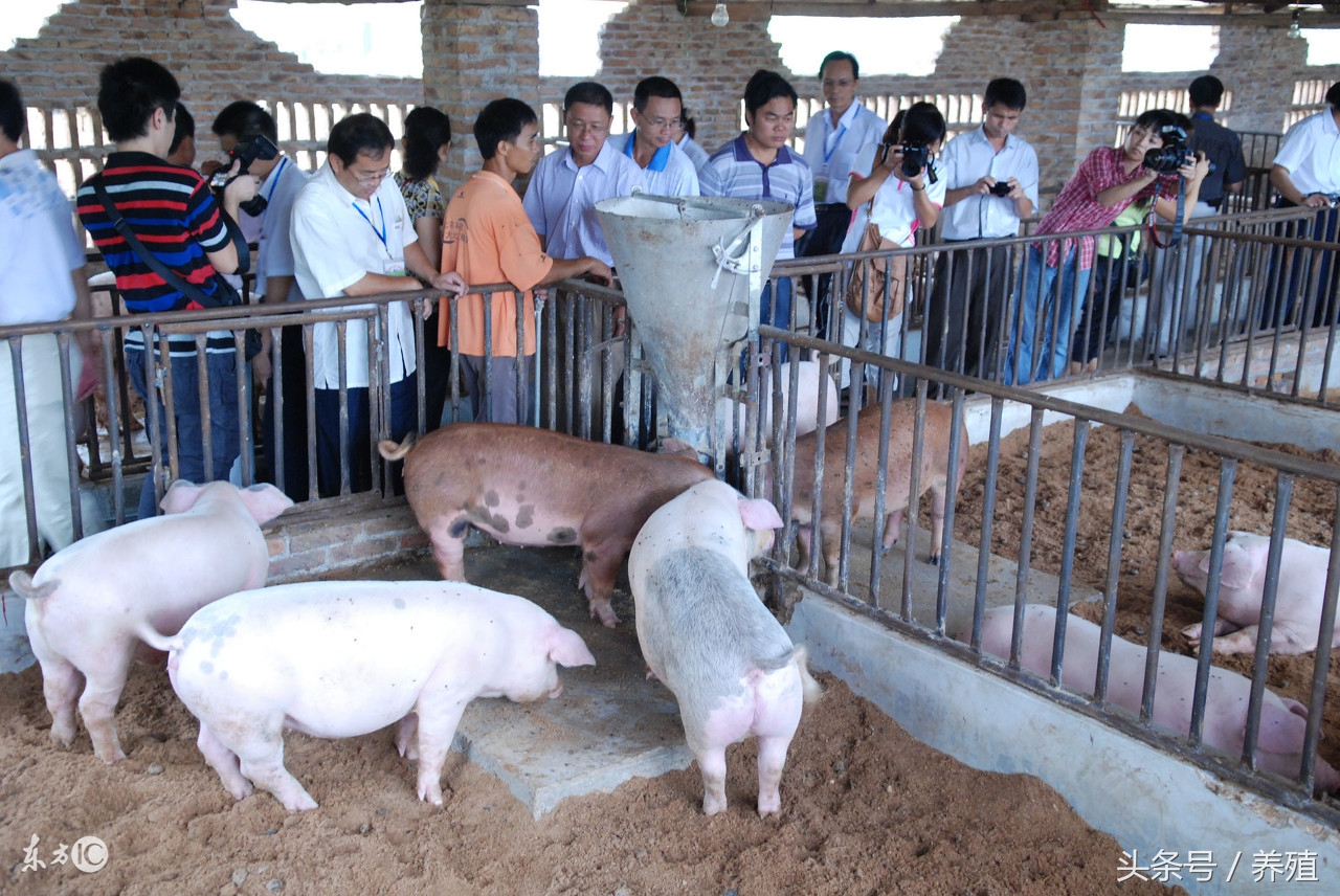 合作社最新补贴,合作社补贴2023年政策