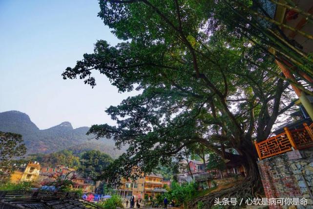 坝美世外桃源简介,坝美世外桃源旅游怎么样