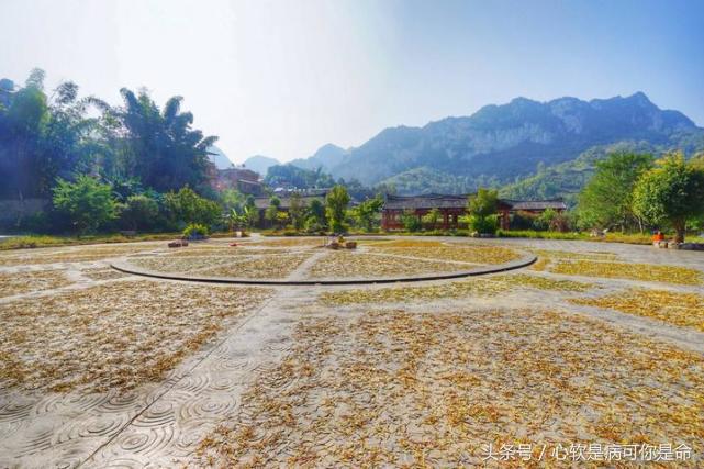 坝美世外桃源简介,坝美世外桃源旅游怎么样