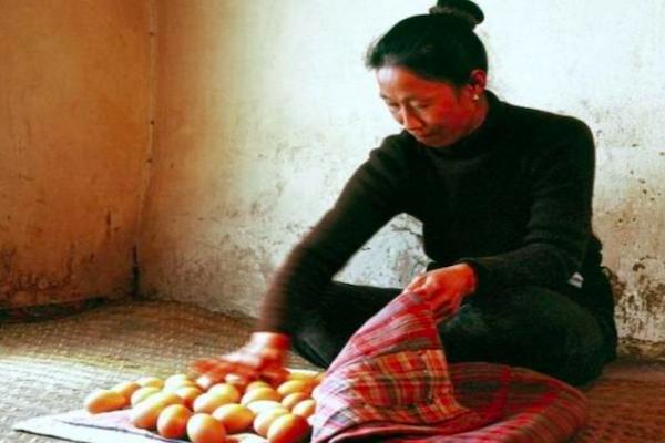 家里面没有火炕如何孵小鸡,火炕孵小鸡的技术与方法