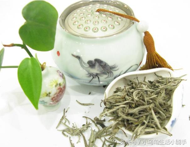 中国十大名茶分别是哪十种茶,安徽名茶中被列为中国十大名茶