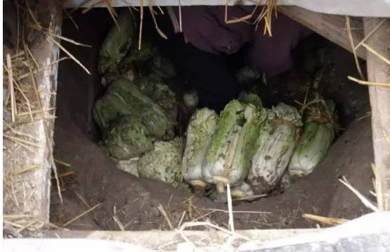 山东五莲人童年视频,30年前五莲县是啥样子