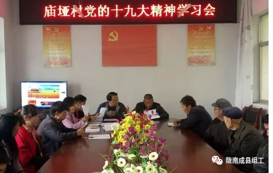认真贯彻学习党的二十大精神,基础党支部学习十九大精神