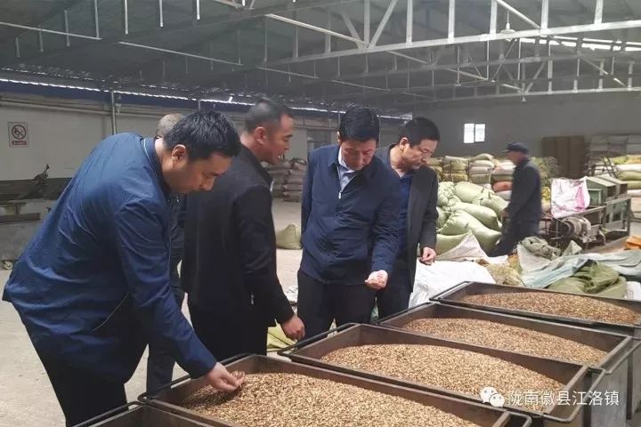 备战双11捡漏,备战双十一出绝招