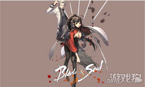 剑灵神功牌和秘功牌怎么选,剑灵剑士神功牌与秘功牌选择