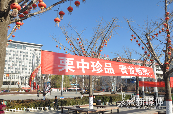 青龙板栗节开幕时间,板栗节青龙节视频