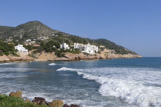 松下fz500相机,松下fz2500拍视频可以不