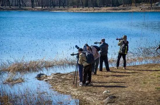 不知道几句摄影圈“黑话”，还怎么混！