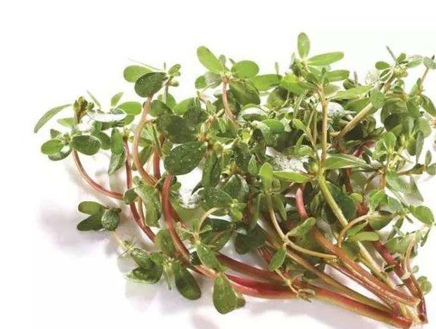 男人长期喝红豆薏米粥好吗,一直喝红豆薏米粥有坏处吗