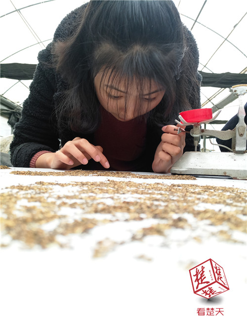 90后小伙葵花宝典,95后大学生减肥成功