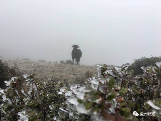 冰雪秦岭梦幻般的世界,乌蒙仙境风景