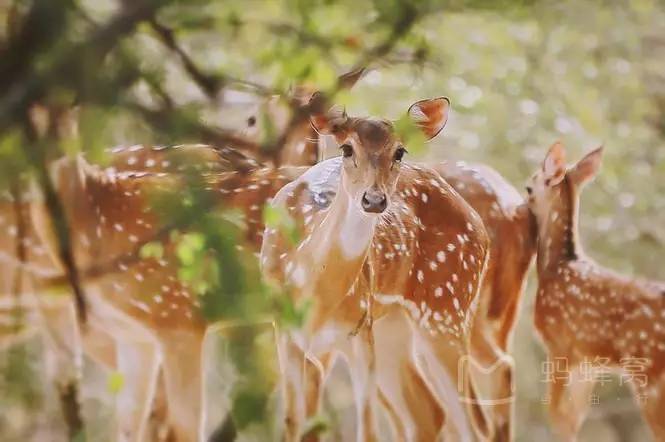 往返二张机票,往返机票去云南和西双版纳