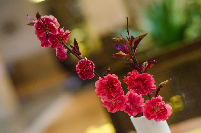 溧阳南山竹海和御水温泉,溧阳天目湖御水温泉旅游攻略