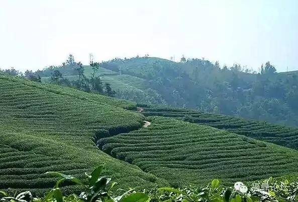 福鼎市区的山,福鼎市最值得爬山的地方