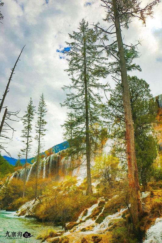 鍛宠暰娴佽繛蹇樿繑,鍛宠暰鐣欐亱