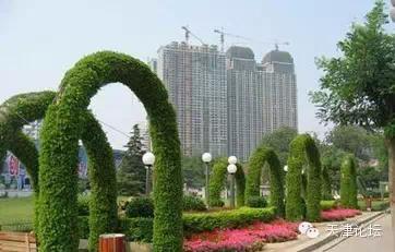 天津最值得去的公园排名榜前十,天津津南区值得游玩的公园