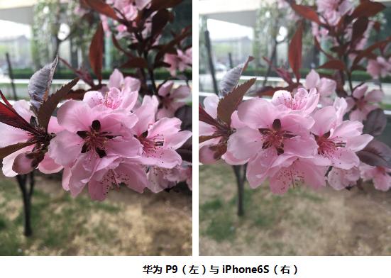 华为P9拍照性能评测：实力碾压iPhone6S
