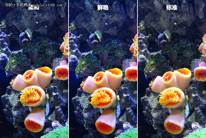 华为p9华为的第一款双摄手机,华为p9快充评测