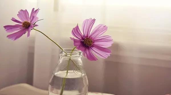 常见多音字一句话全总结,106个汉语多音字一句话全总结