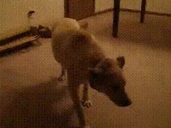 如何在大学期间长高5cm？