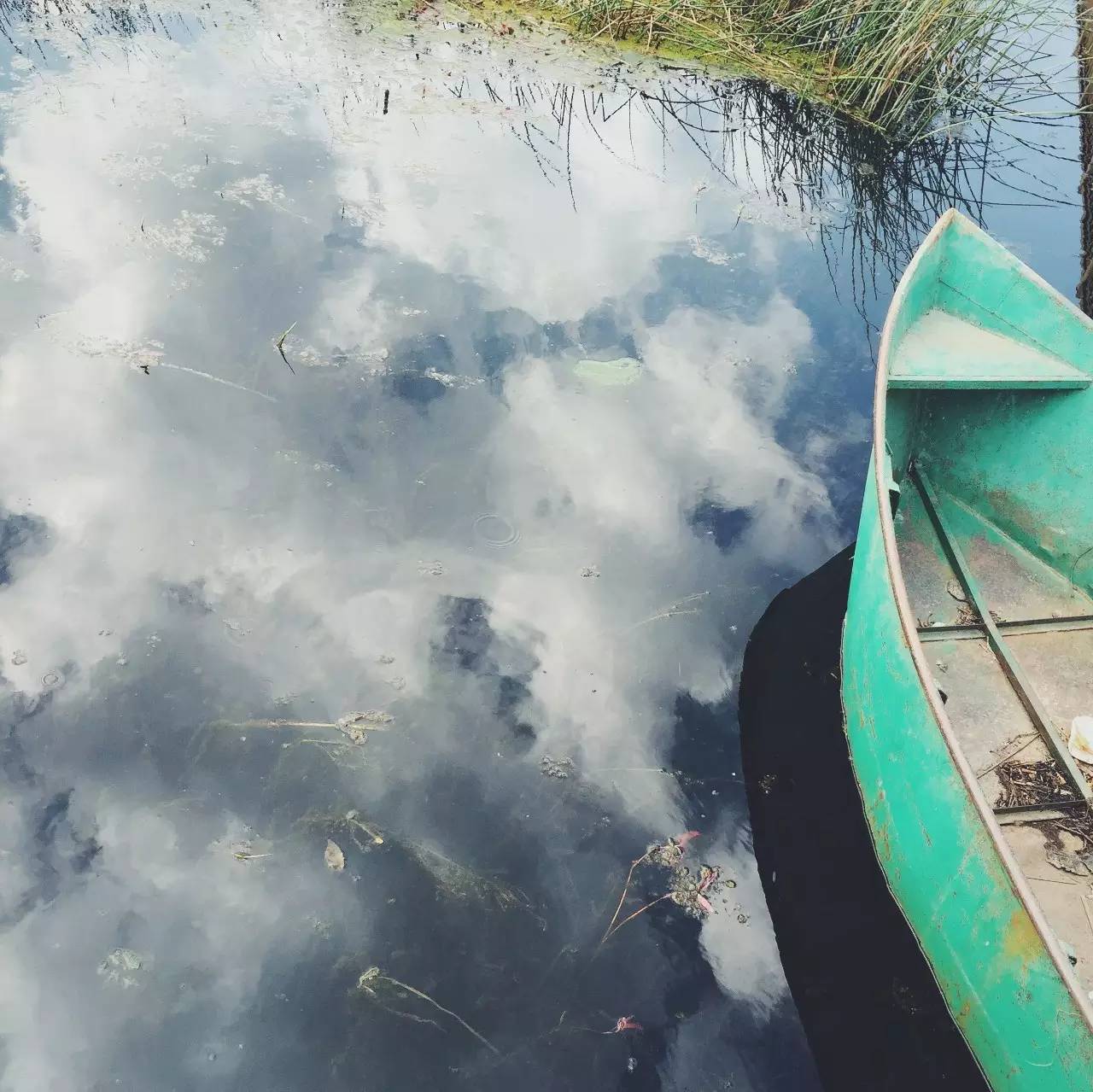 又到了动物们交配的季节，请站在宇宙中心用力呼唤爱！