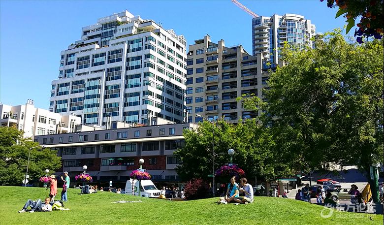 西雅图油价,西雅图油价多少钱