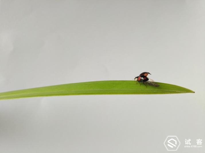 vivoxplay5手机,vivoxplay5的卖点讲解