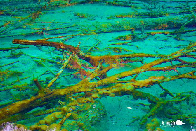 鍛宠暰娴佽繛蹇樿繑,鍛宠暰鐣欐亱