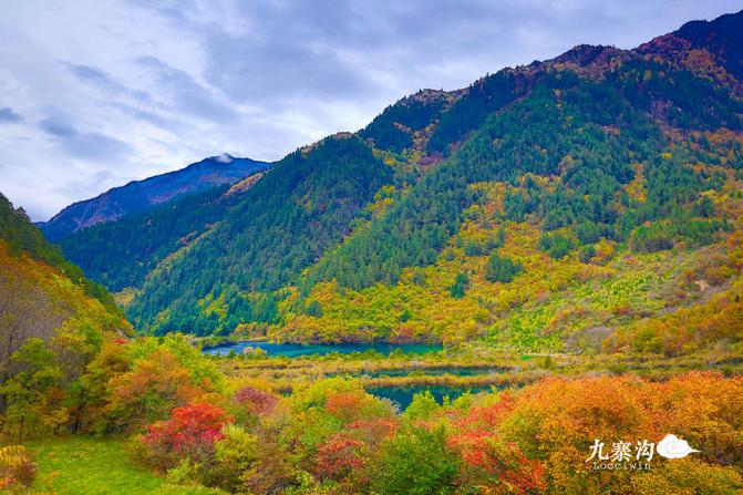 鍛宠暰娴佽繛蹇樿繑,鍛宠暰鐣欐亱