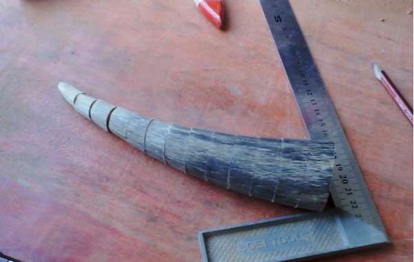 养牛的亲戚送了些牛角,这回非要做串牛角手串玩玩!