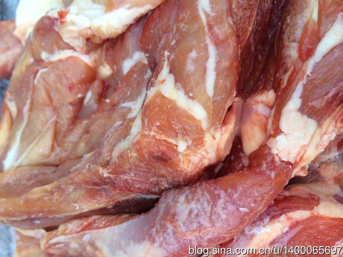 无谷粮对宠物的好处,无谷宠物粮真的好吗