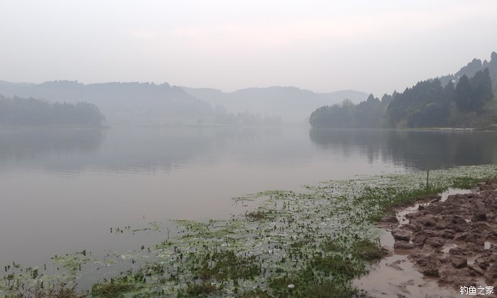 八一水库钓草鱼,八一水库钓青稍