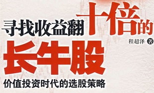 下一只百倍股票,下一只10倍潜力大牛