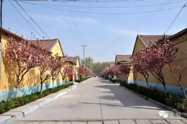 临淄:特色小镇的春天——金岭敬仲朱台齐陵