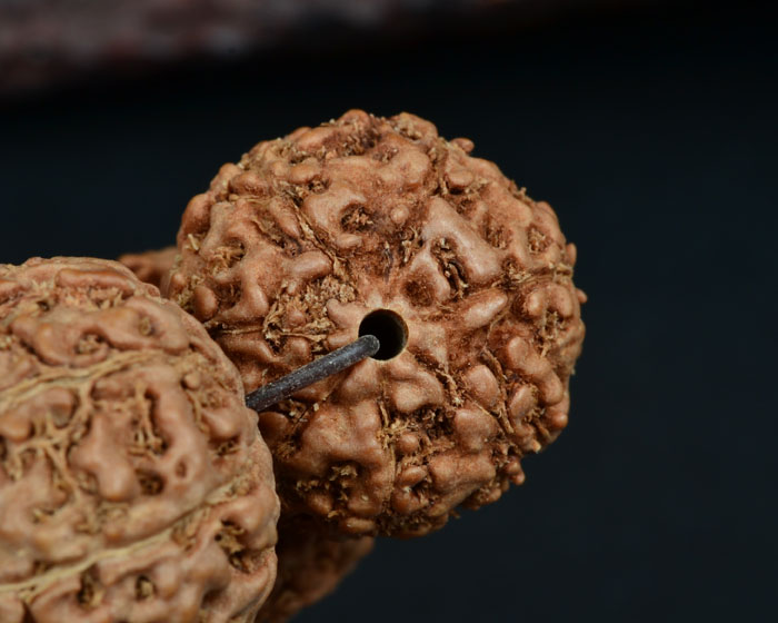 金刚菩提手串打底清理方法,金刚菩提可以用草酸清理吗