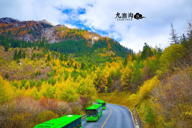 鍛宠暰娴佽繛蹇樿繑,鍛宠暰鐣欐亱