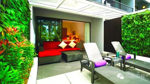 有个国家蔬菜很贵肉却很便宜,有没有物价便宜美食多的城市