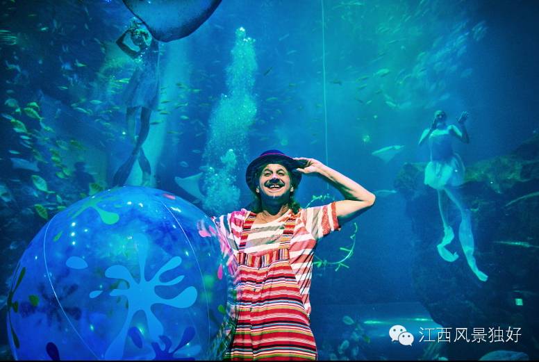 南昌万达海洋乐园在哪里,南昌万达海洋乐园主题公园