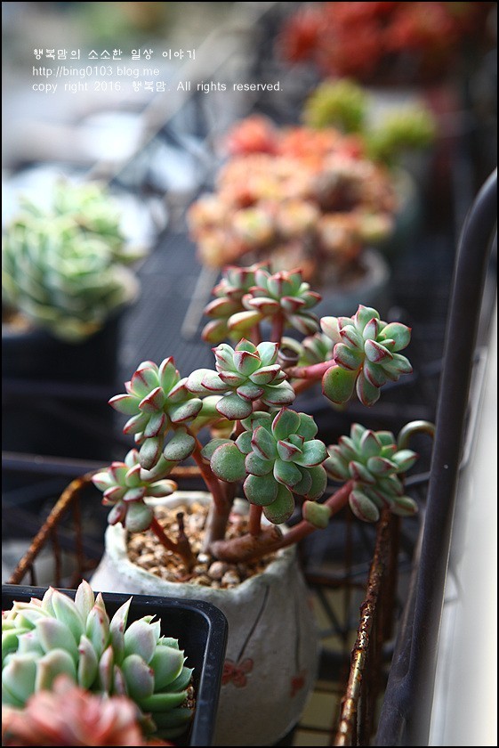 直播间不退不换的韩货,未来直播带货会持续红火吗