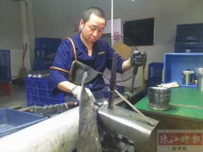 嘉美照明8寸筒灯,嘉美照明主灯