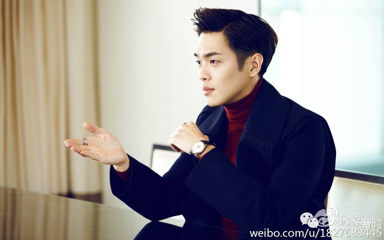 裴尚轩十五年后续,无心法师张若昀帅照