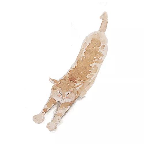 行万里路游览世界,行万里路去看更多的风景