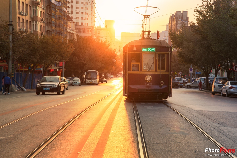 带上跑鞋去旅行,带着马去旅游的车