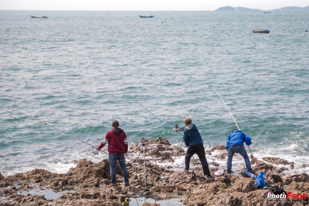 带上跑鞋去旅行,带着马去旅游的车