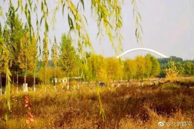 北京四个踏青必备的免费公园,北京小众湿地公园