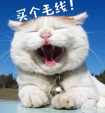 买不起的毛线球,8万7的tiffany毛线球