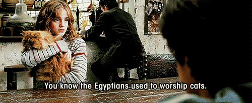 买不起的毛线球,8万7的tiffany毛线球