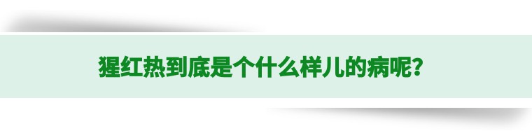 猩红热颜色,猩红热又开始了吗